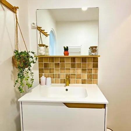 Sous Les Toits De La Digue Apartment Verdun-sur-Meuse